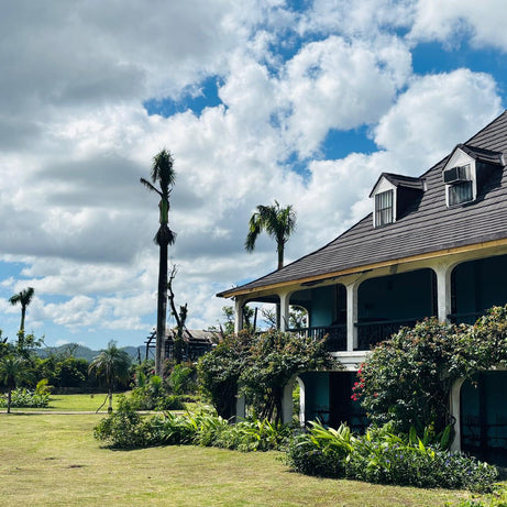 Inside Hampden Estate: The Distillery That Made Funk Famous