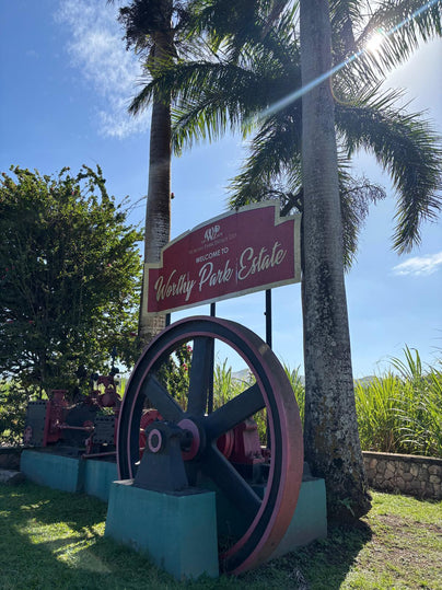 Inside Worthy Park Estate: Where Jamaican Rum Was Born
