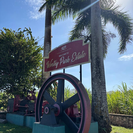 Inside Worthy Park Estate: Where Jamaican Rum Was Born